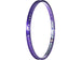 Box Focus 406 Rim-Rear-36H-20x1.75" - 8