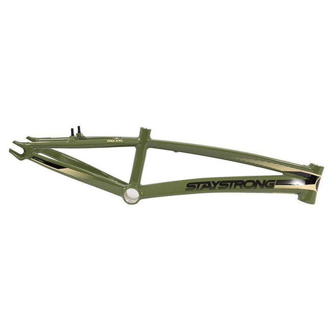 Stay Strong 2019 For Life Race Frame-Green - 1