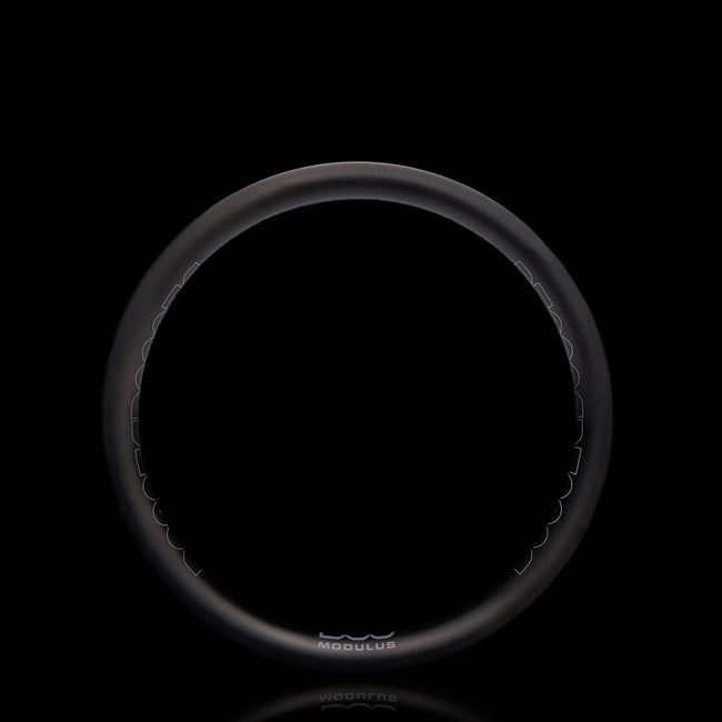 DUO Brand Modulus Carbon Rim-20" - 2