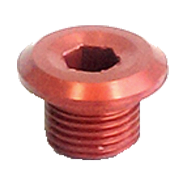 Rennen Infinity ChainRing Bolts-Aluminum - 4