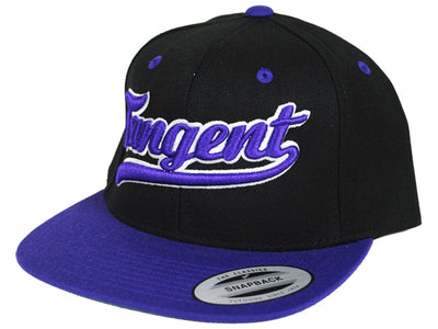 Tangent Snapback Hat-Black/Purple