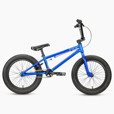 DK Step Up 18"TT BMX Bike-Blue