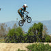 SE Racing PK Ripper Super Elite XL 21"TT BMX Race Bike-Fast Black - 4