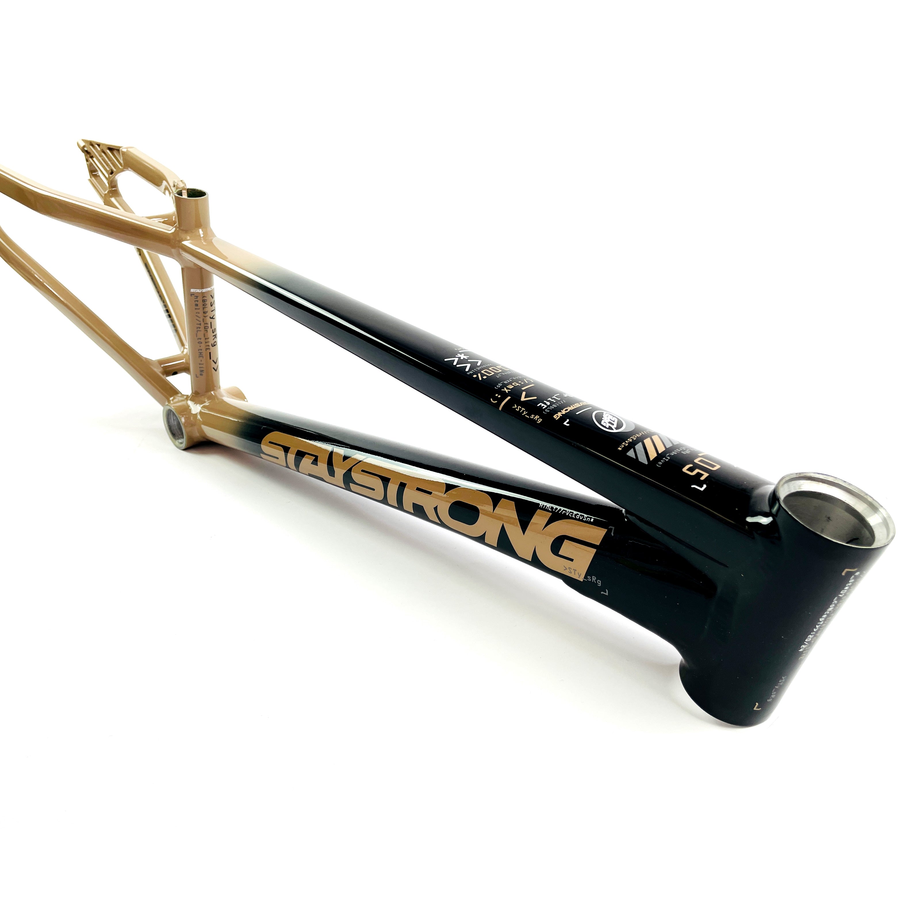 Stay Strong For Life 2024 V5 Expert Race Frame