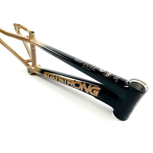 Stay Strong For Life V5 Disc Alloy BMX Race Frame-Black-Tan – J&R Bicycles, Inc