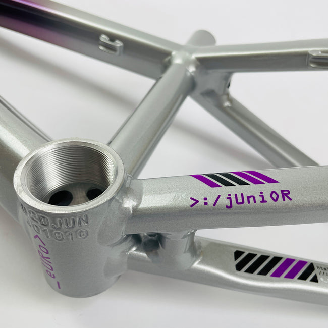 Stay Strong For Life V5 Disc Alloy BMX Race Frame-Chameleon/Silver - 5