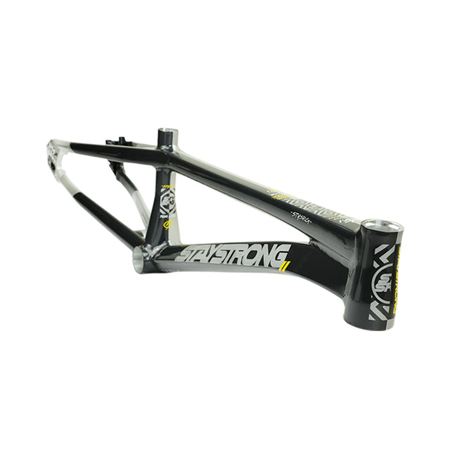 Stay Strong For Life V5.1 Disc Alloy BMX Race Frame-Charcoal/Silver - 2