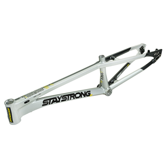 Stay Strong For Life V5.1 Disc Alloy BMX Race Frame-Charcoal/Silver - 6