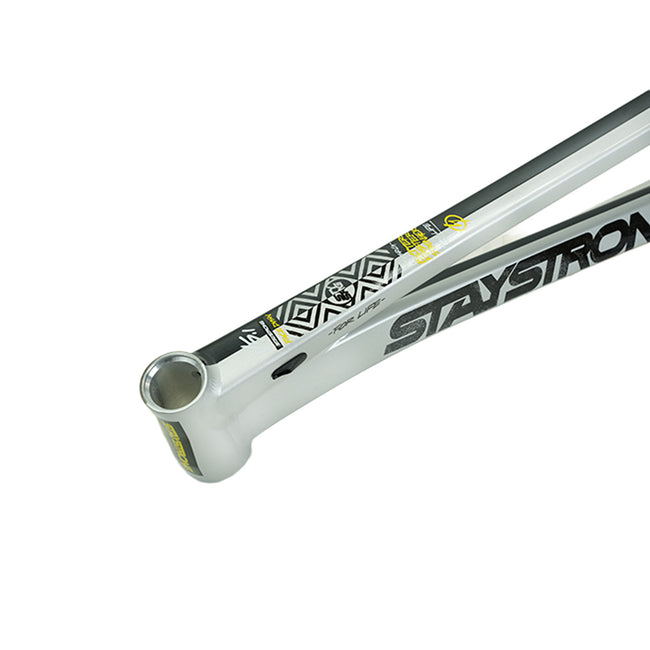 Stay Strong For Life V5.1 Disc Alloy BMX Race Frame-Charcoal/Silver - 7