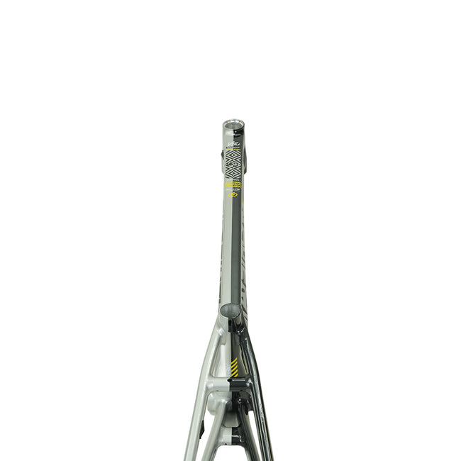 Stay Strong For Life V5.1 Disc Alloy BMX Race Frame-Charcoal/Silver - 9