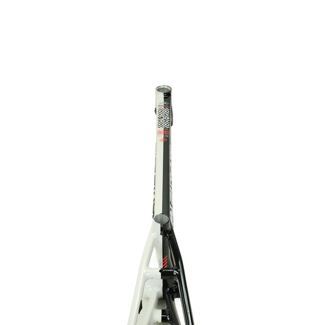 Stay Strong For Life V5.1 Disc Alloy BMX Race Frame-Black/White - 9