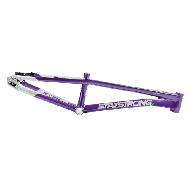 Stay Strong For Life V5.1 Disc Alloy BMX Race Frame-Purple/Silver - 1