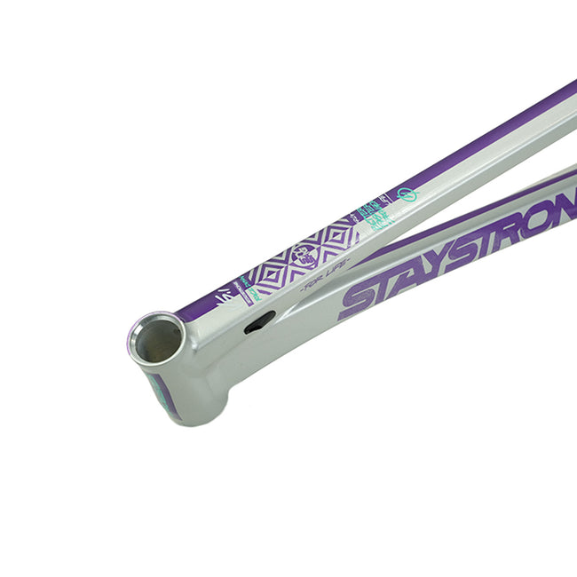 Stay Strong For Life V5.1 Disc Alloy BMX Race Frame-Purple/Silver - 7