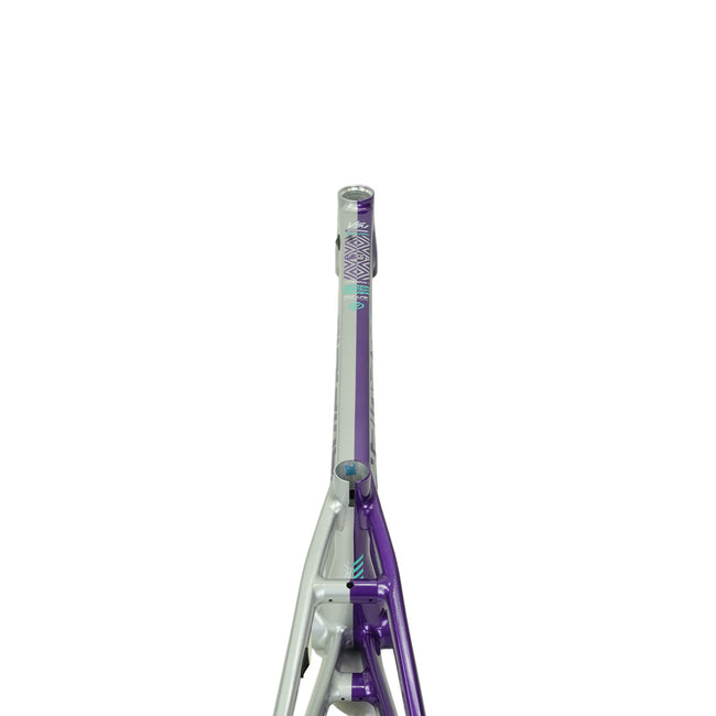 Stay Strong For Life V5.1 Disc Alloy BMX Race Frame-Purple/Silver - 9