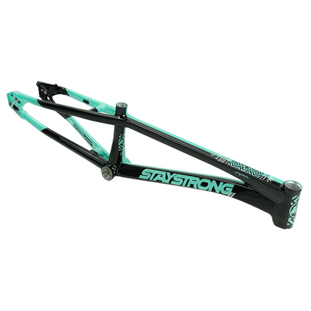 Stay Strong For Life V5.1 Disc Alloy BMX Race Frame-Tiffany/Black – J&R Bicycles, Inc