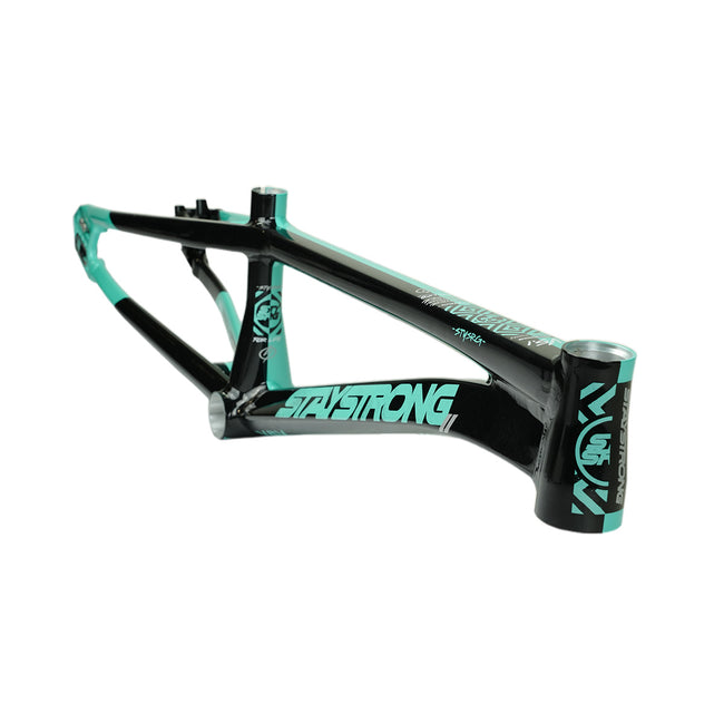 Stay Strong For Life V5.1 Disc Alloy BMX Race Frame-Tiffany/Black - 3