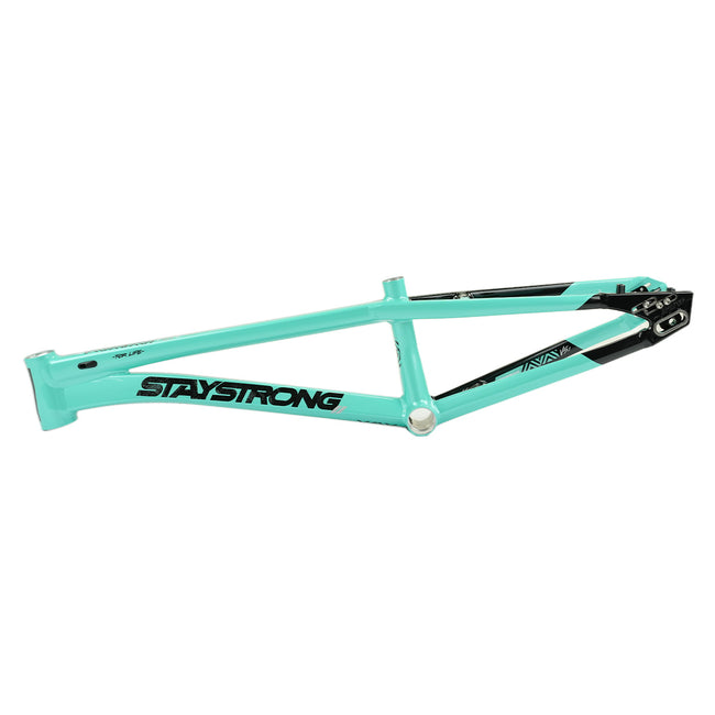 Stay Strong For Life V5.1 Disc Alloy BMX Race Frame-Tiffany/Black - 6