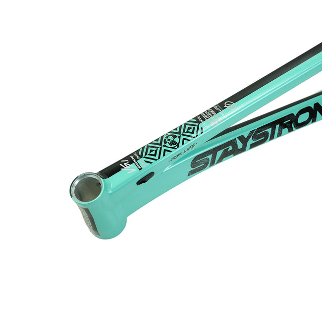 Stay Strong For Life V5.1 Disc Alloy BMX Race Frame-Tiffany/Black - 7