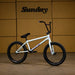 Sunday Forecaster RHD 21"TT BMX Bike-Broc Raiford Signature-Gloss Sky Blue - 1