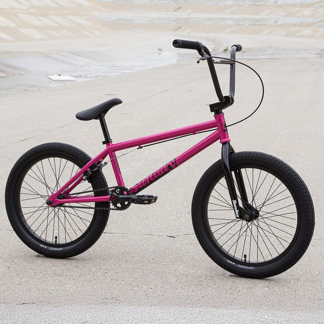 Sunday Primer 20.5 Sunday Primer 20.5