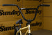 Sunday Wavelength 21"TT RHD/LHD BMX Freestyle Bike-Gary Young Signature-Matte Metallic Gold - 2