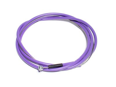 Animal Illegal Linear Cable