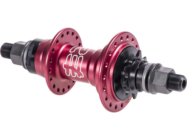 Ezra 2024 freecoaster hub