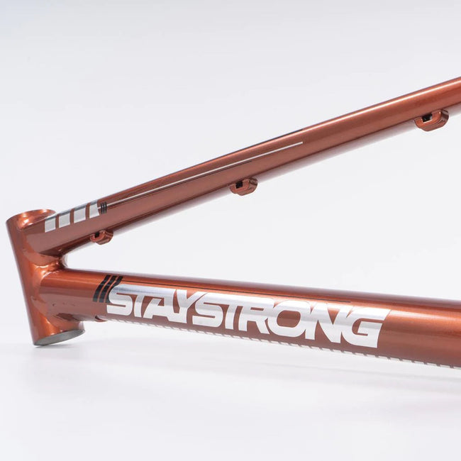 Stay Strong For Life V4 Alloy BMX Race Frame-Copper - 7