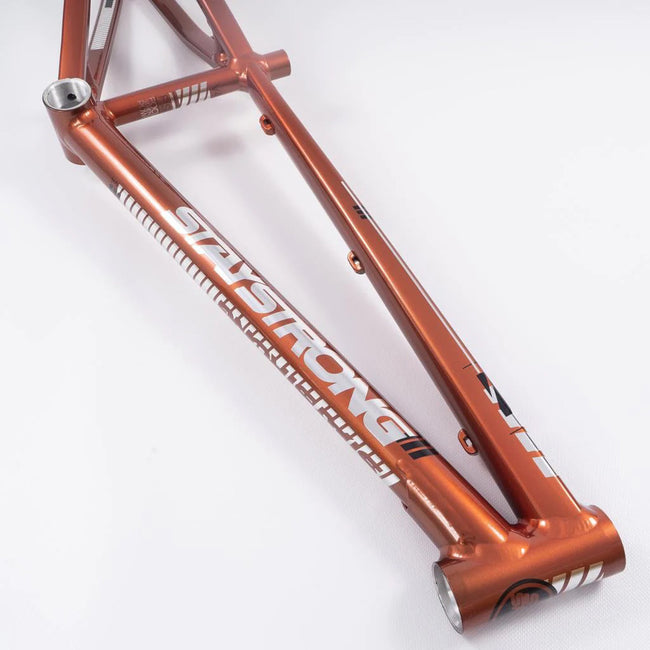 Stay Strong For Life V4 Disc Alloy BMX Race Frame-Copper - 3