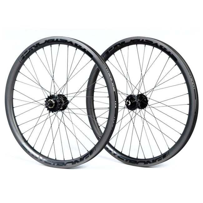 Stay Strong Carbon Disc Mini BMX Race Wheelset-20x1 1/8&quot; - 1