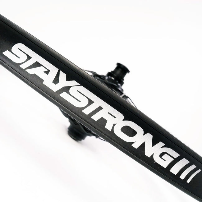 Stay Strong DVSN V3 Carbon Disc Pro BMX Race Wheelset-20x1.75&quot; - 2