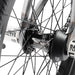 Subrosa Letum 20.75&quot;TT BMX Freestyle Bike-Matte Trans Black Fade - 12