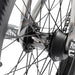 Subrosa Letum 20.75&quot;TT BMX Freestyle Bike-Matte Trans Red Fade - 12