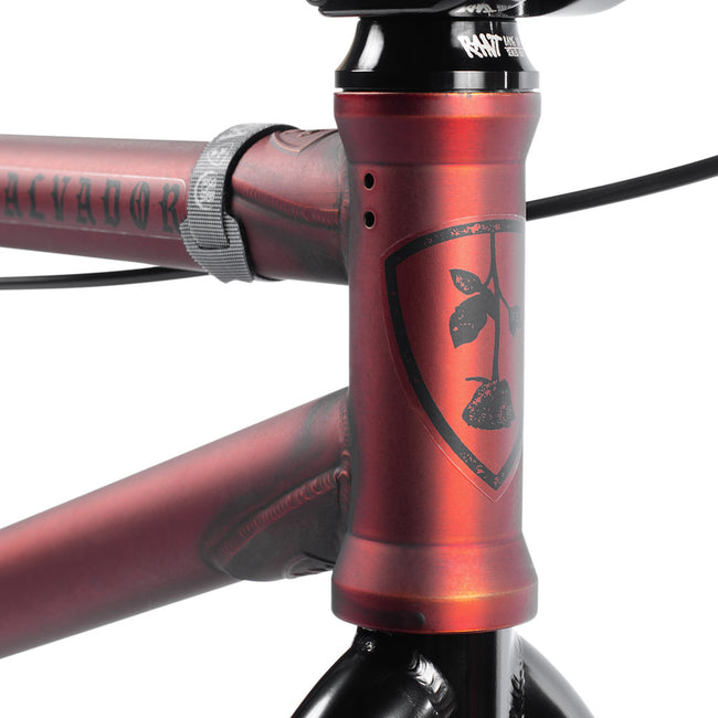 Subrosa Salvador 20.5&quot;TT BMX Freestyle Bike-Matte Trans Red - 6