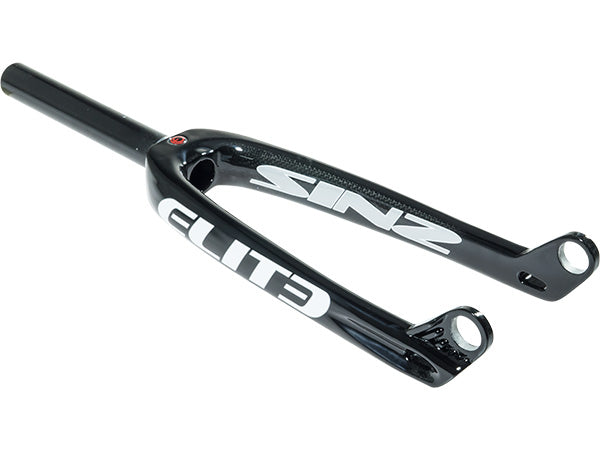 Sinz 2024 carbon forks