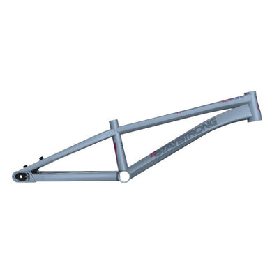 Stay Strong For Life V4 Disc Alloy BMX Race Frame-Grey