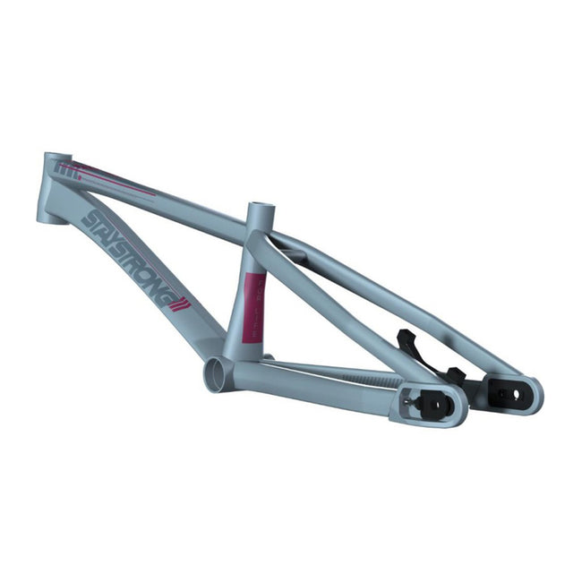 Stay Strong For Life V4 Disc Alloy BMX Race Frame-Grey - 2